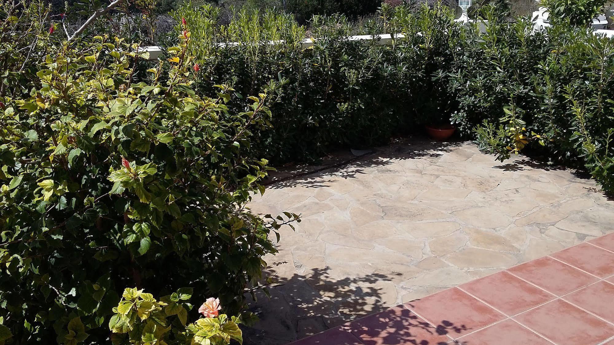 Alcossebre Apartamentos Palma Blanca 3000 מראה חיצוני תמונה